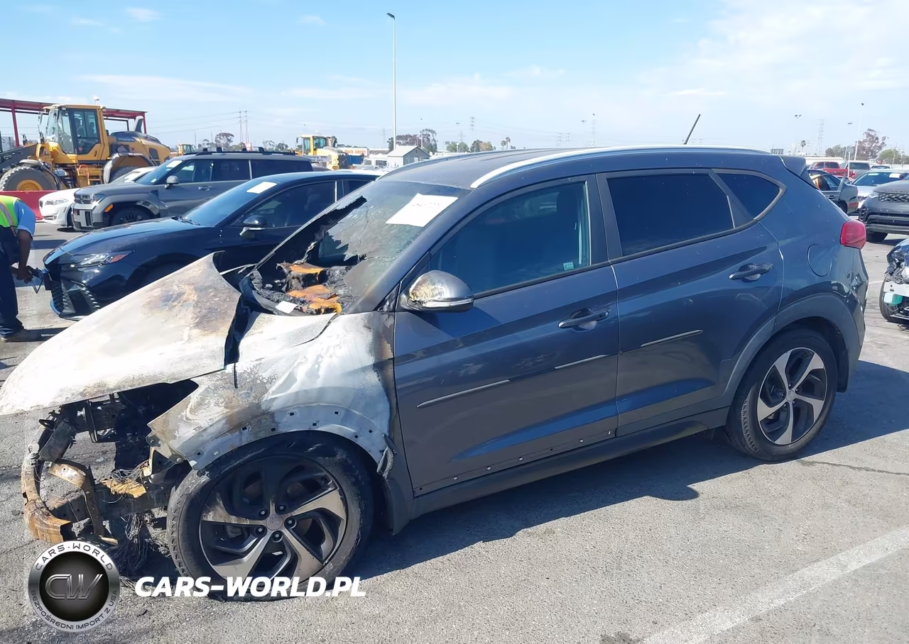 2016 Hyundai Tucson Sport VIN:KM8J3CA24GU080639 - 13