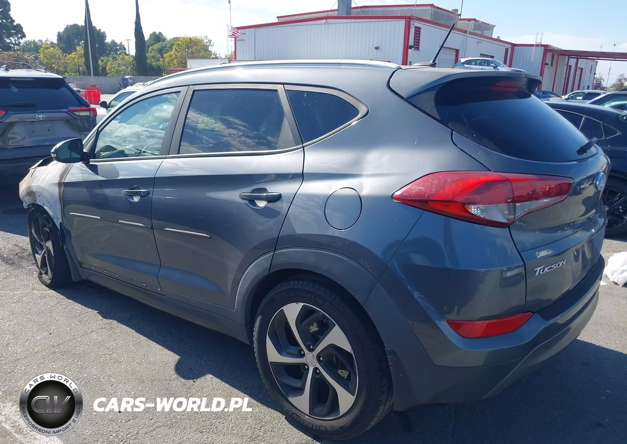 2016 Hyundai Tucson Sport VIN:KM8J3CA24GU080639 - 3