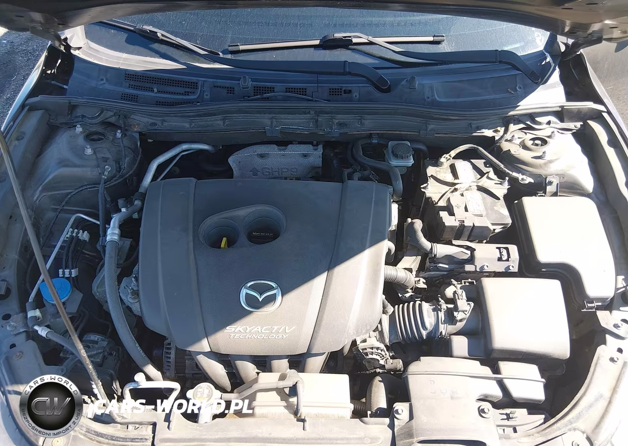 2016 Mazda Mazda3 I Touring VIN:JM1BM1W78G1298437 - 10