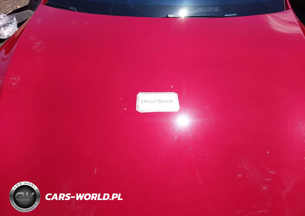 2018 Tesla Model S 100D-75D-P100D VIN:5YJSA1E27JF276555 - 10