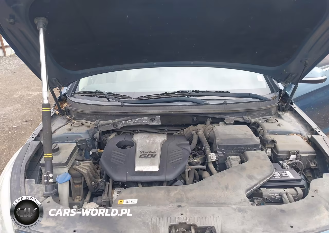 2016 Hyundai Sonata Eco VIN:5NPE24AA2GH411718 - 10