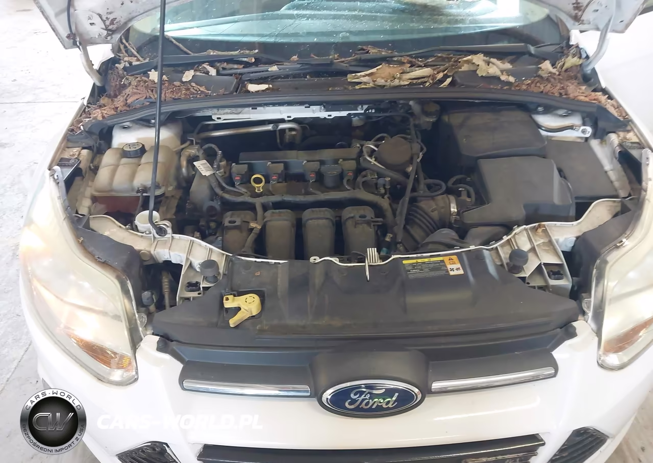 2013 Ford Focus Se VIN:1FADP3F22DL216840 - 10