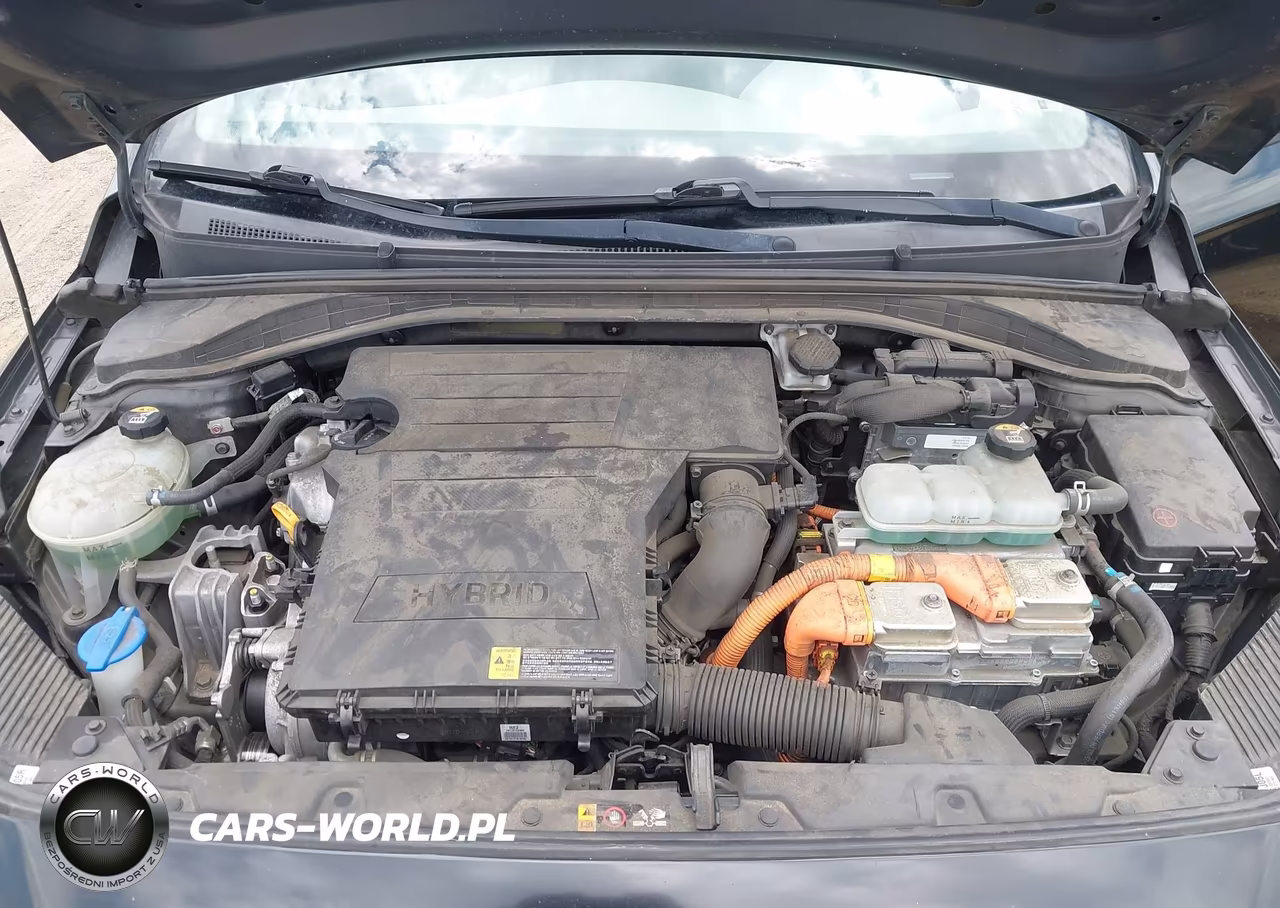 2019 Hyundai Ioniq Hybrid Blue VIN:KMHC65LC5KU139546 - 10