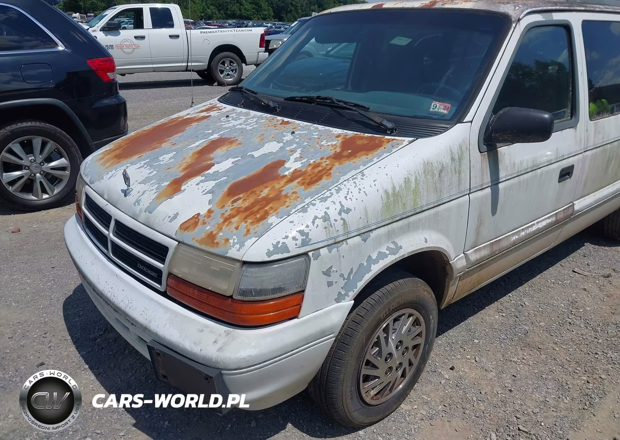 1994 Dodge Grand Caravan Se VIN:1B4GH44R6RX184451 - 12