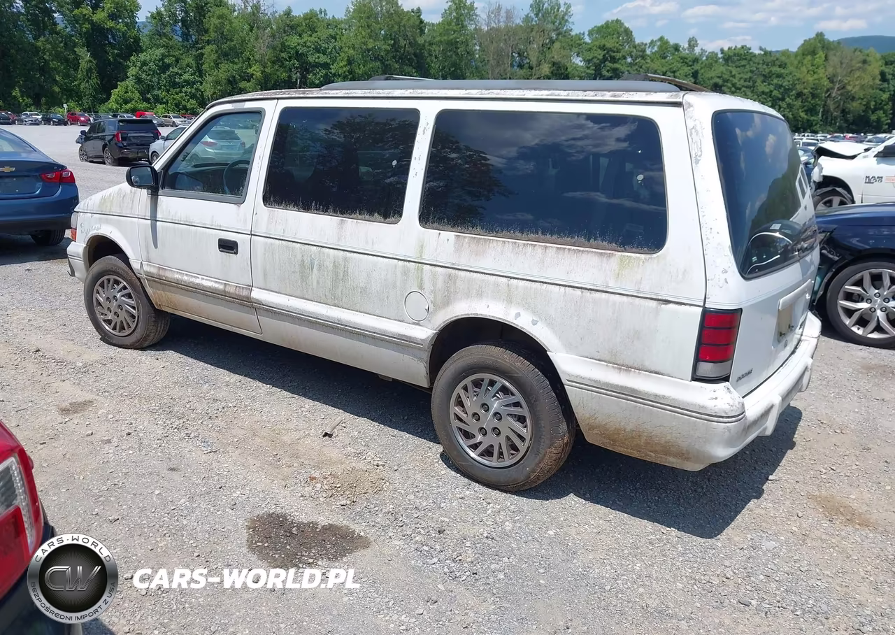 1994 Dodge Grand Caravan Se VIN:1B4GH44R6RX184451 - 3