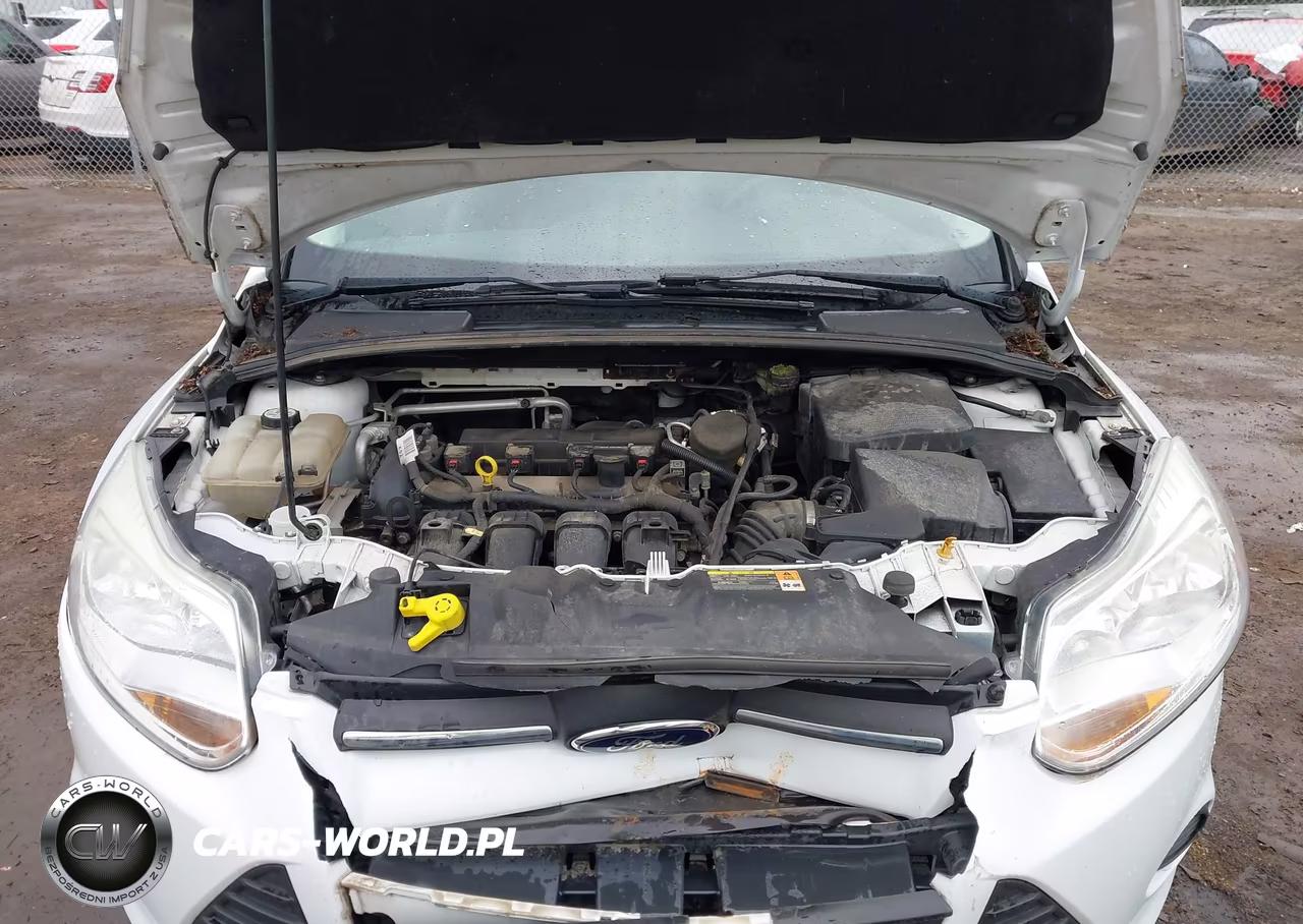 2013 Ford Focus Se VIN:1FADP3F24DL296755 - 10