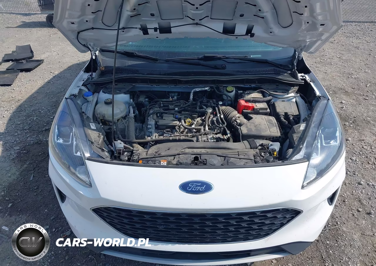 2021 Ford Escape Se VIN:1FMCU9G63MUB18313 - 10