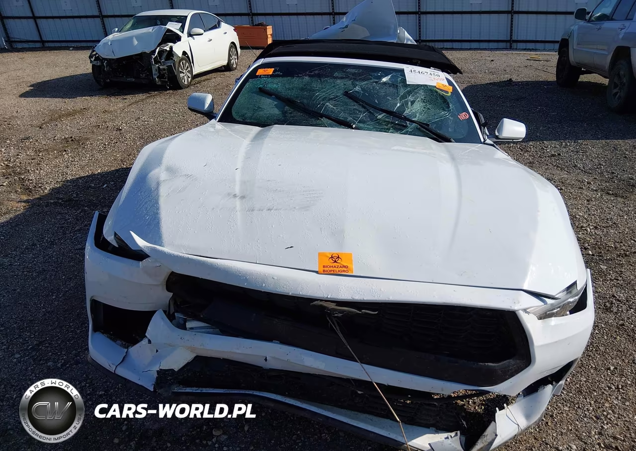 2024 Ford Mustang VIN:1FAGP8UH4R5120401 - 11