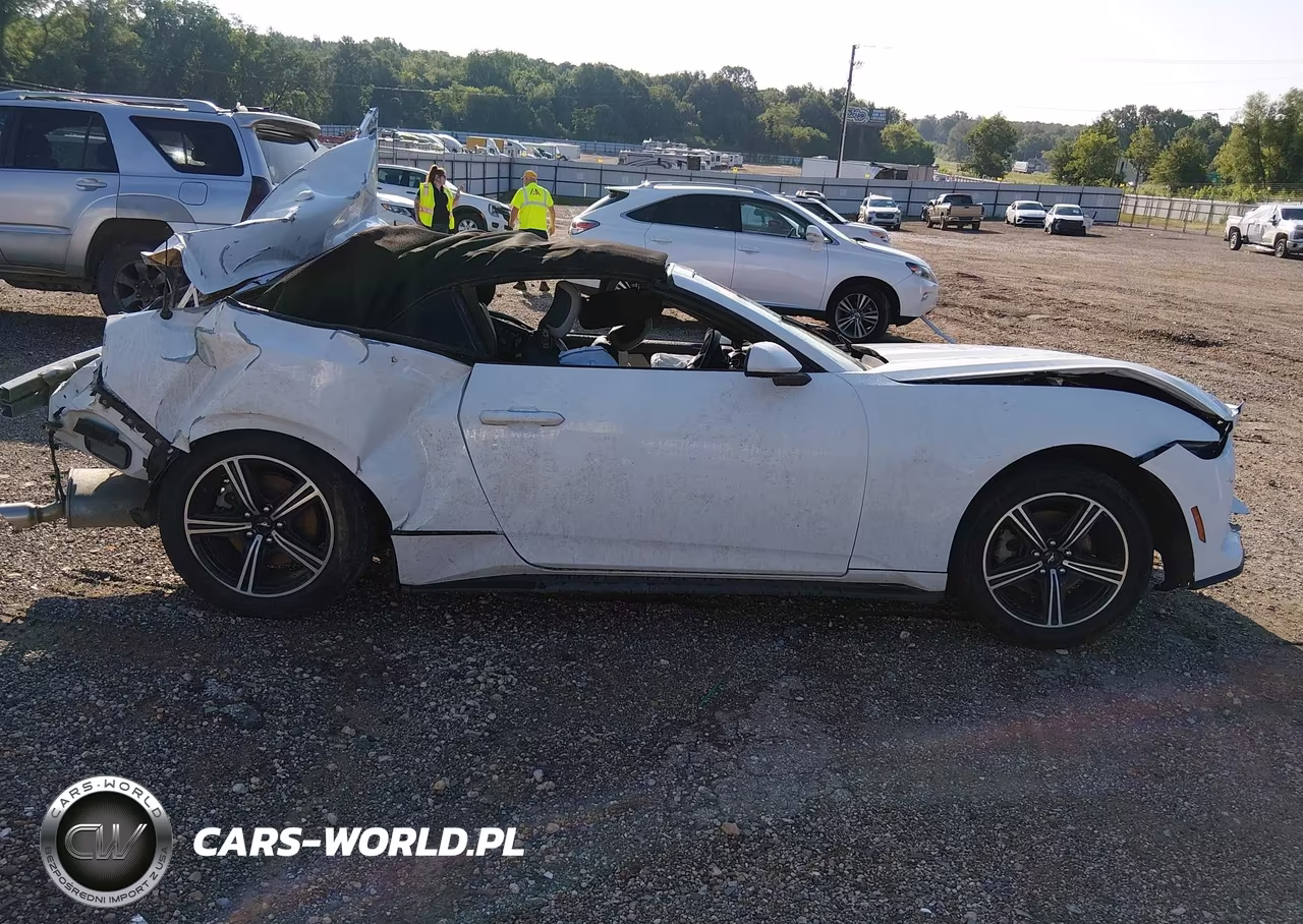 2024 Ford Mustang VIN:1FAGP8UH4R5120401 - 12