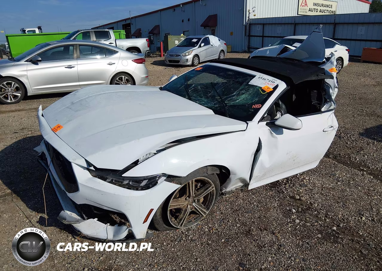 2024 Ford Mustang VIN:1FAGP8UH4R5120401 - 2