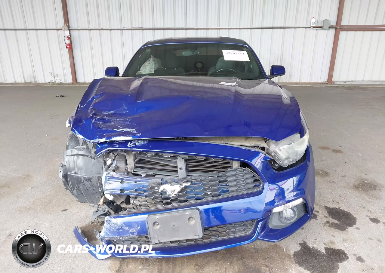 2016 Ford Mustang Ecoboost VIN:1FA6P8TH6G5317838 - 13