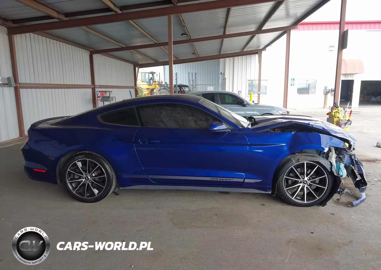 2016 Ford Mustang Ecoboost VIN:1FA6P8TH6G5317838 - 14