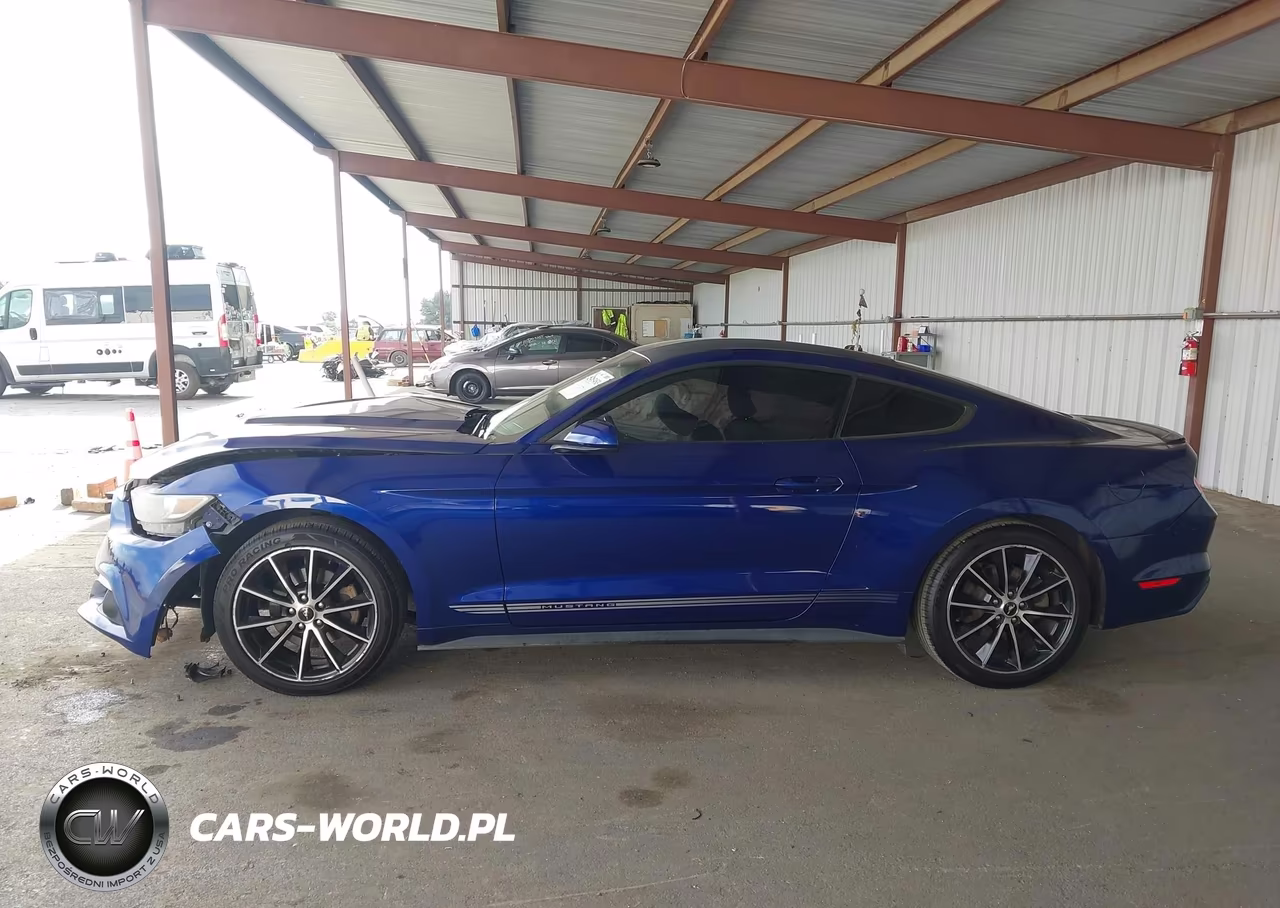 2016 Ford Mustang Ecoboost VIN:1FA6P8TH6G5317838 - 15