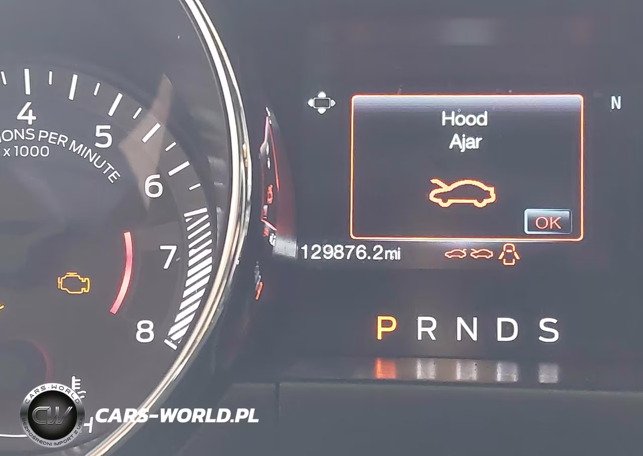 2016 Ford Mustang Ecoboost VIN:1FA6P8TH6G5317838 - 16