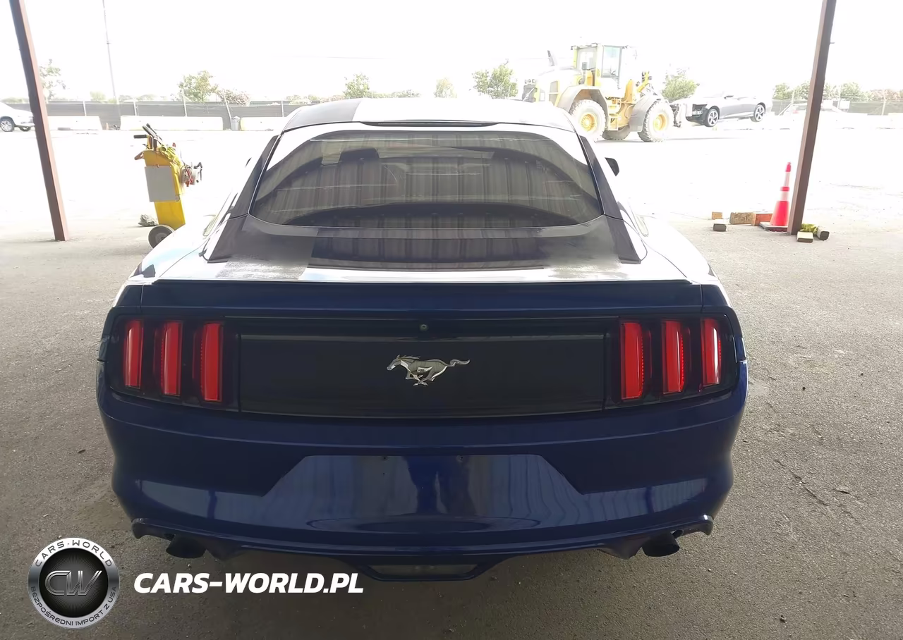 2016 Ford Mustang Ecoboost VIN:1FA6P8TH6G5317838 - 17