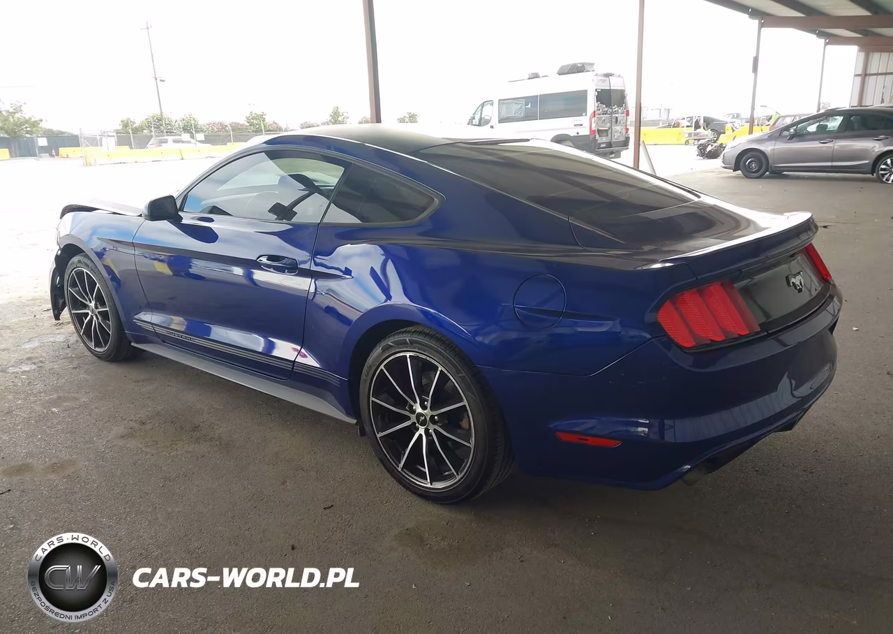 2016 Ford Mustang Ecoboost VIN:1FA6P8TH6G5317838 - 3