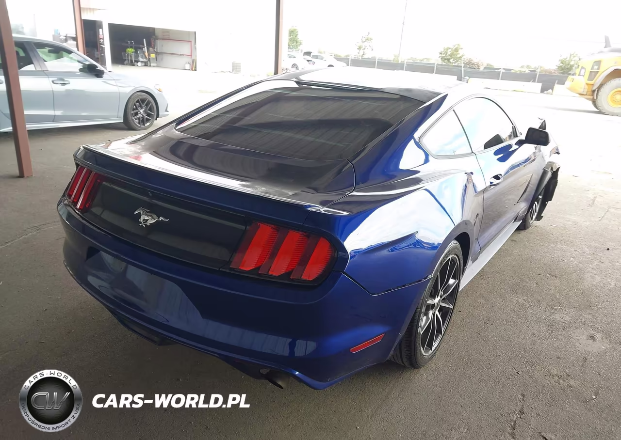 2016 Ford Mustang Ecoboost VIN:1FA6P8TH6G5317838 - 4