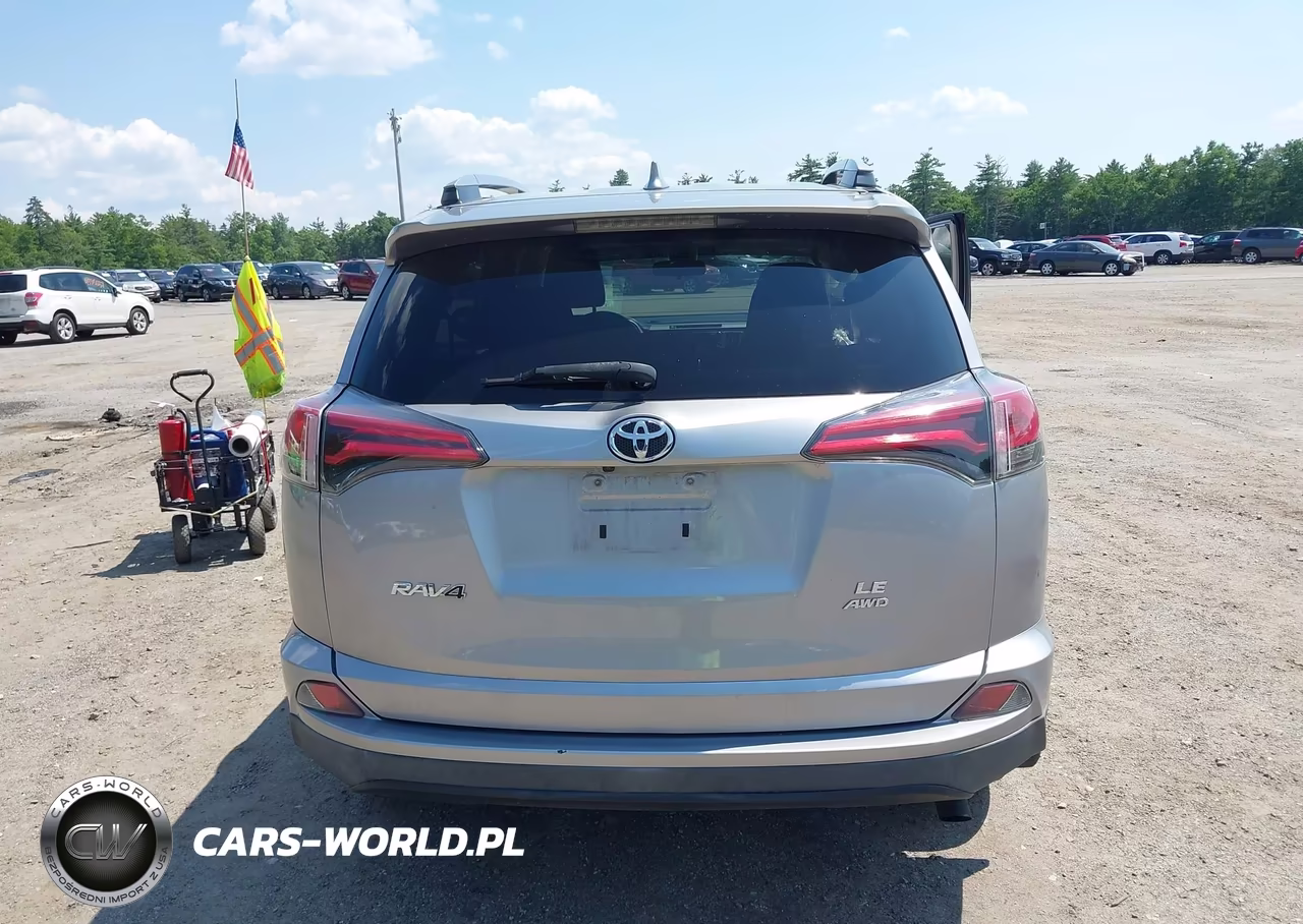 2017 Toyota Rav4 Le VIN:2T3BFREV8HW569847 - 16