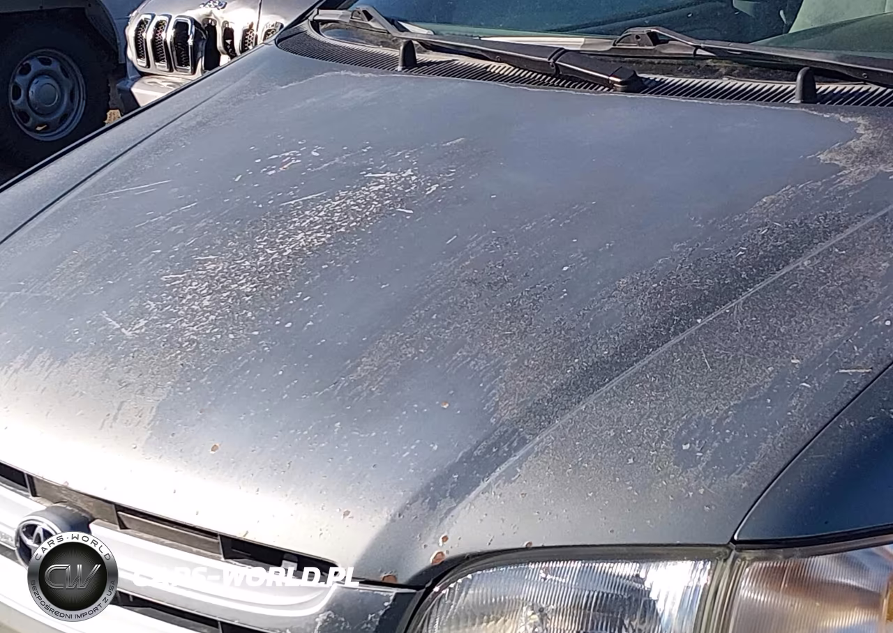 2000 Toyota Sienna Xle VIN:4T3ZF13CXYU205592 - 13