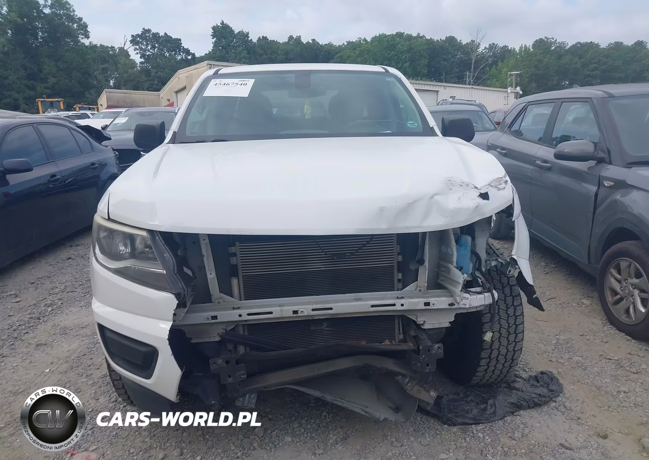 2019 Chevrolet Colorado Wt VIN:1GCGSBEA5K1125630 - 12