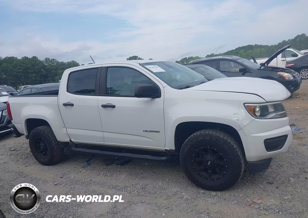 2019 Chevrolet Colorado Wt VIN:1GCGSBEA5K1125630 - 13