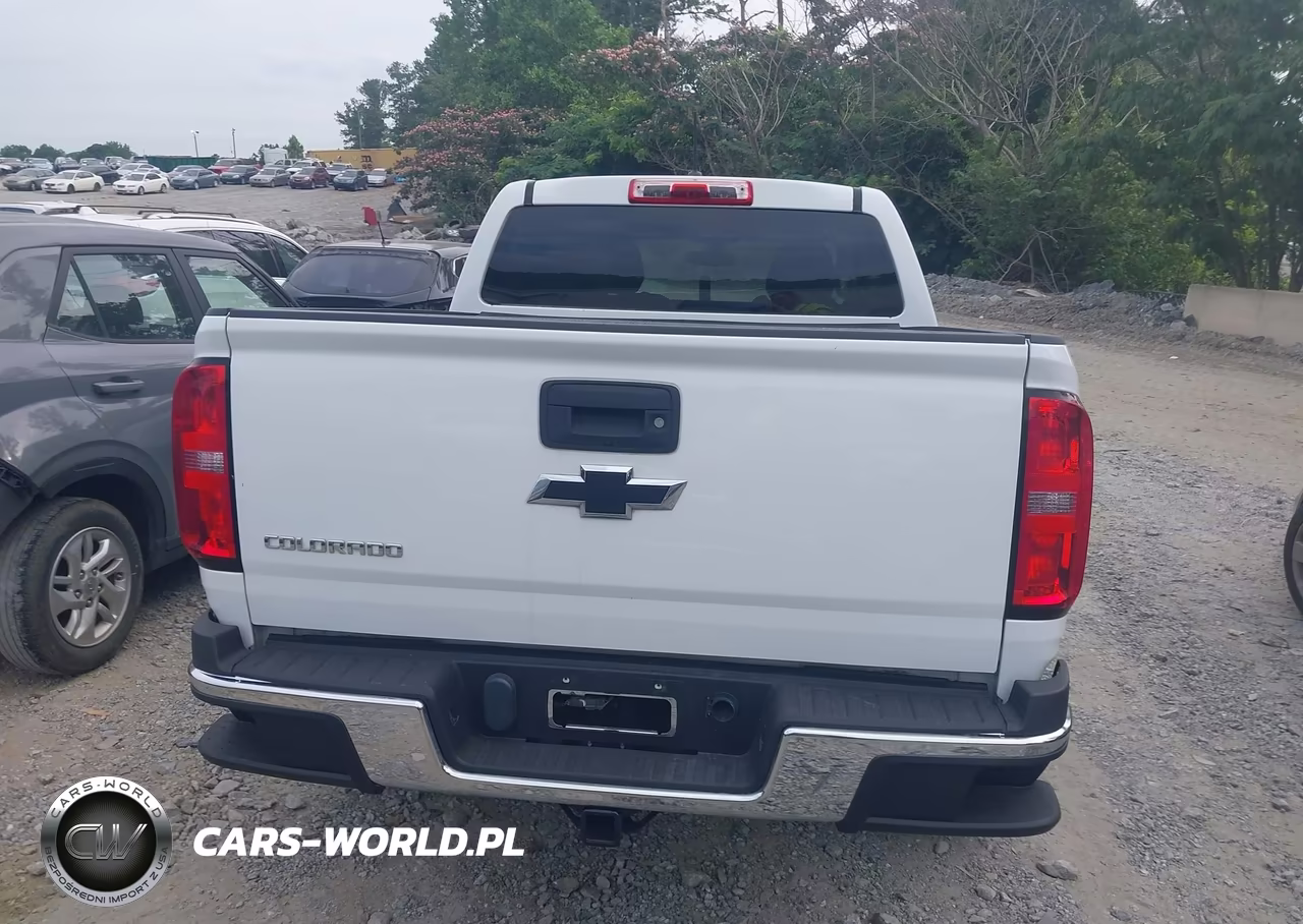 2019 Chevrolet Colorado Wt VIN:1GCGSBEA5K1125630 - 16