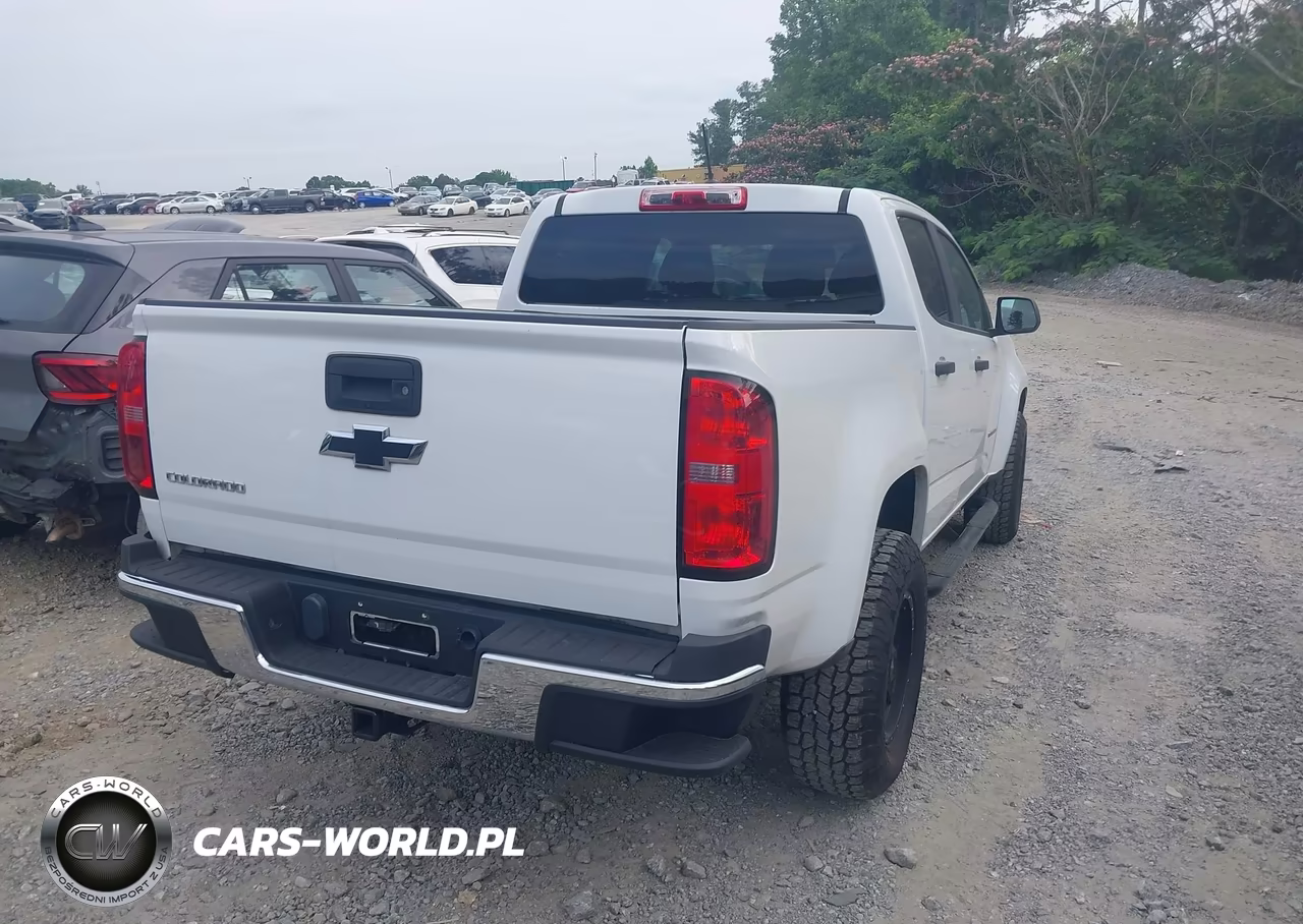2019 Chevrolet Colorado Wt VIN:1GCGSBEA5K1125630 - 4