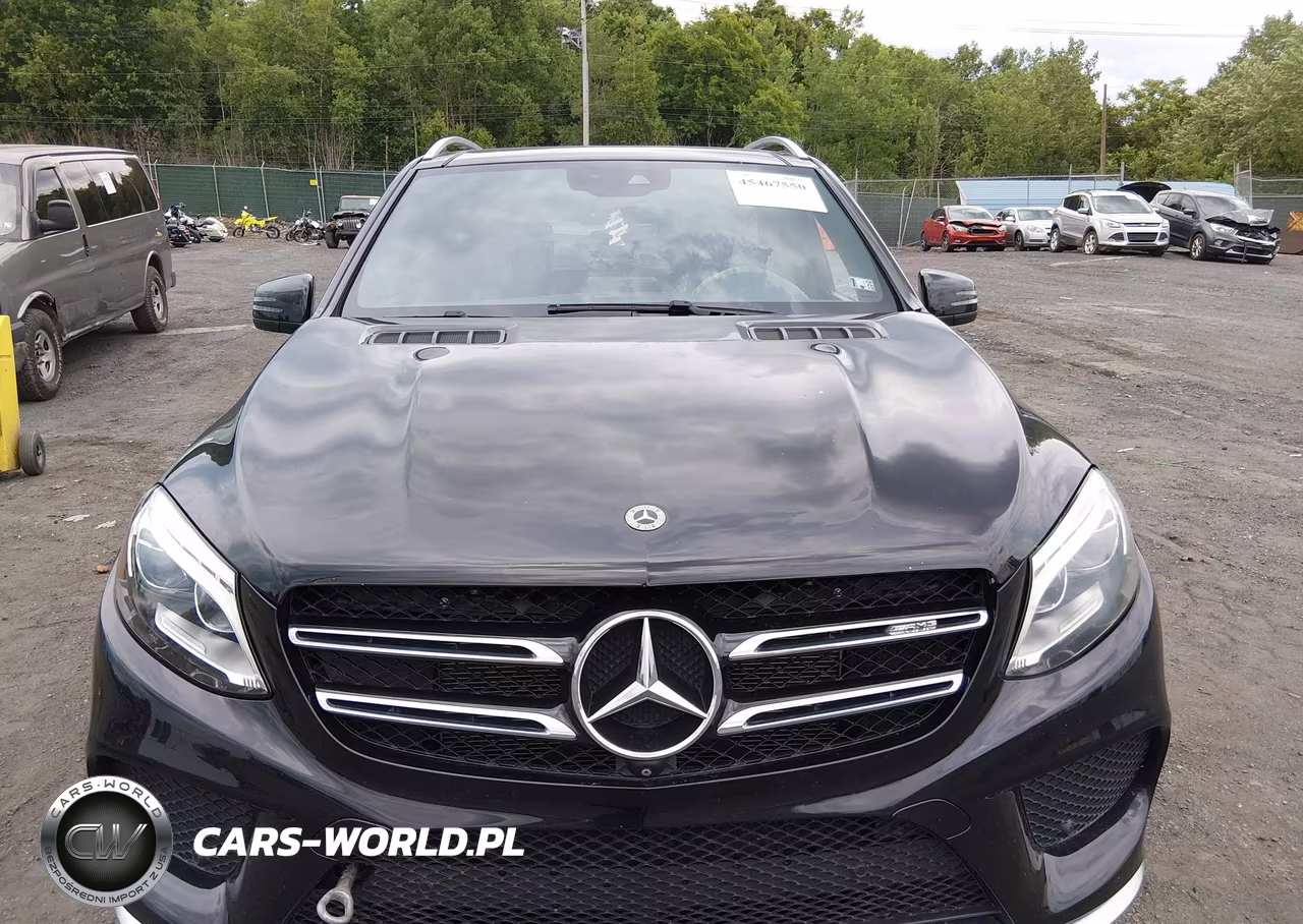 2018 Mercedes-Benz Amg Gle 43 4Matic VIN:4JGDA6EBXJB019832 - 12