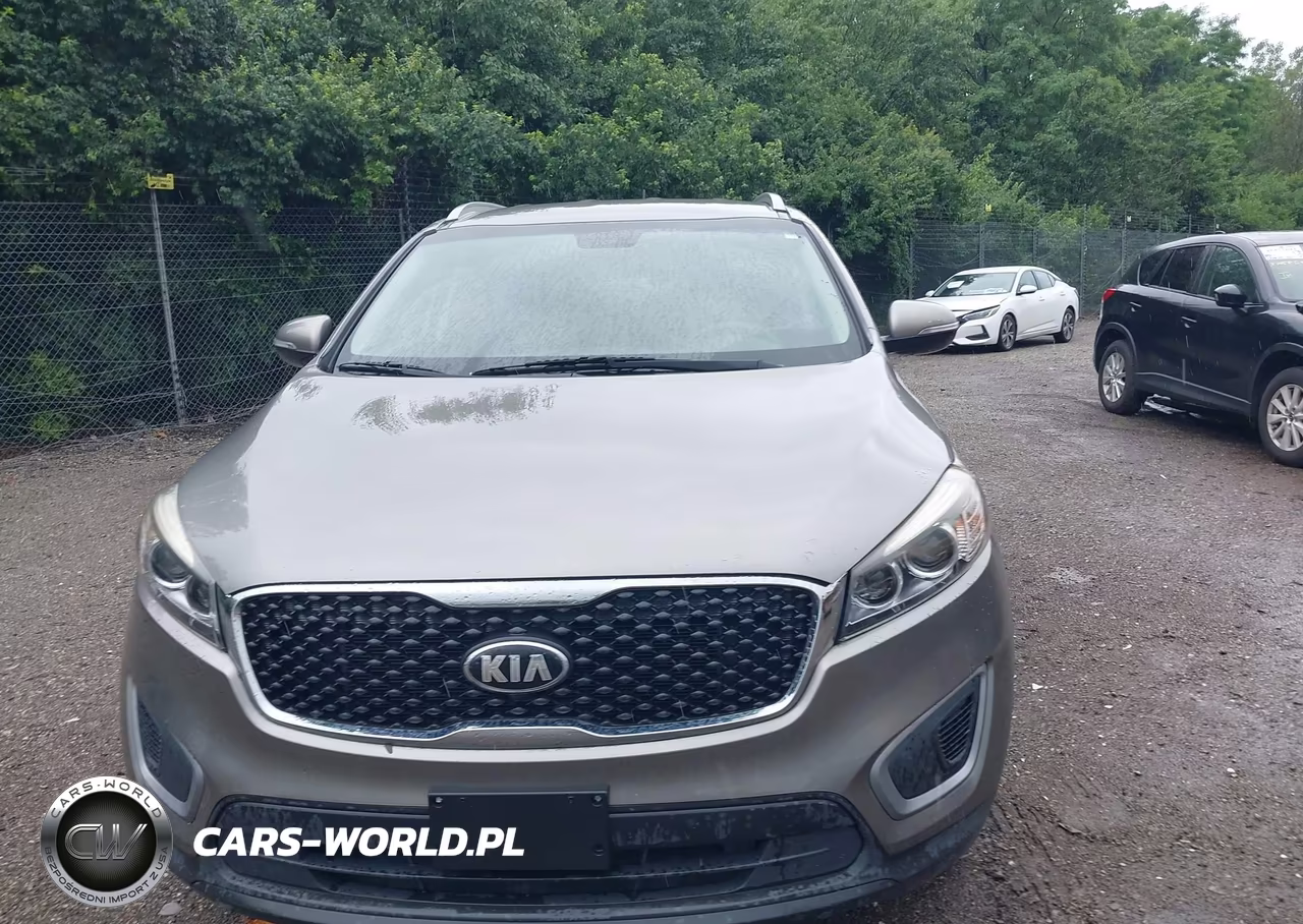 2016 Kia Sorento 3.3L Lx VIN:5XYPGDA54GG178591 - 13