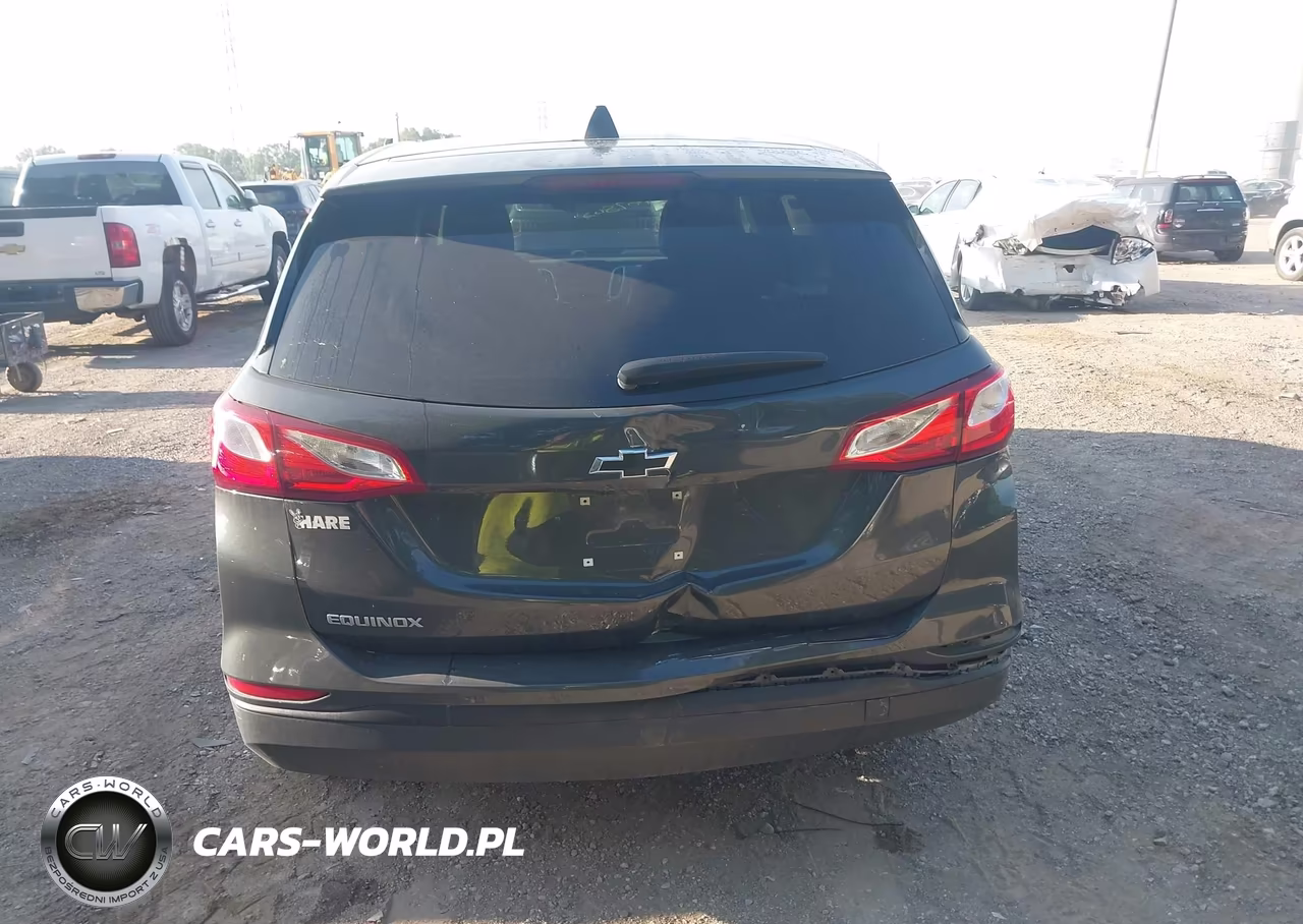2020 Chevrolet Equinox Fwd Ls VIN:2GNAXHEV2L6271485 - 16