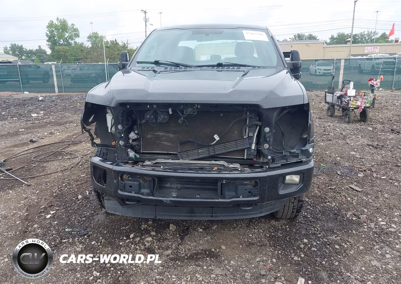 2015 Ford F-150 Xl VIN:1FTEX1EP1FFA69315 - 13