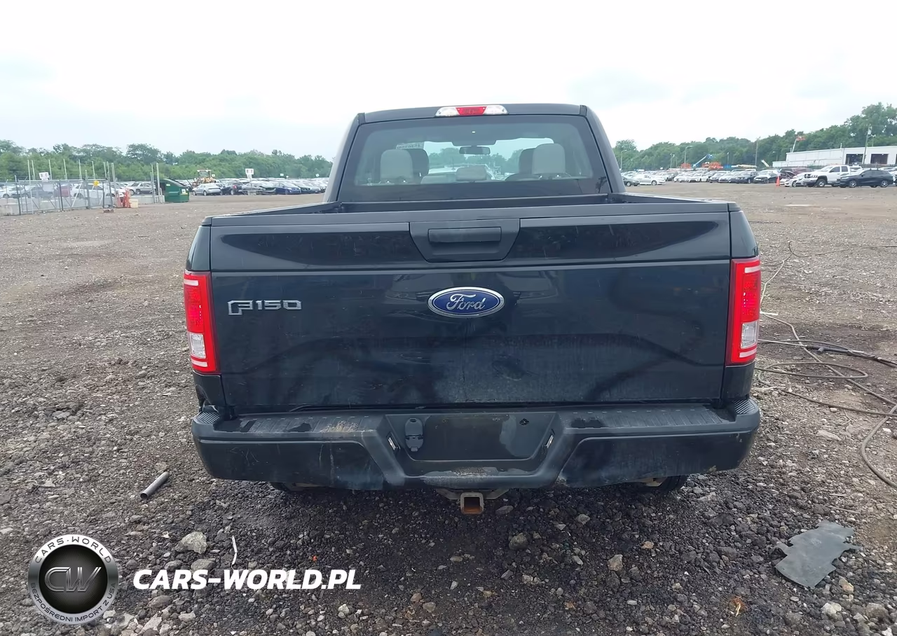 2015 Ford F-150 Xl VIN:1FTEX1EP1FFA69315 - 17