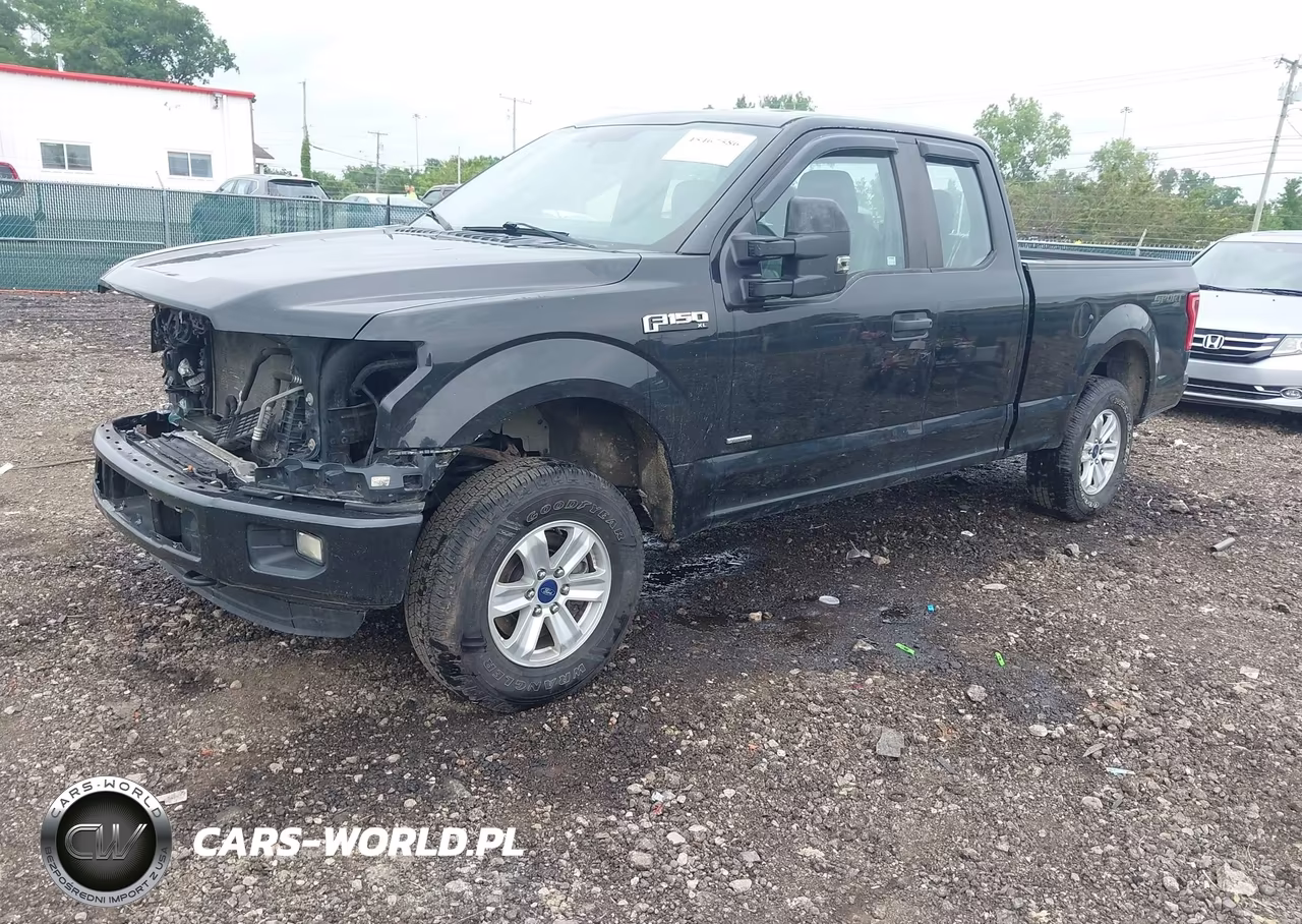 2015 Ford F-150 Xl VIN:1FTEX1EP1FFA69315 - 2