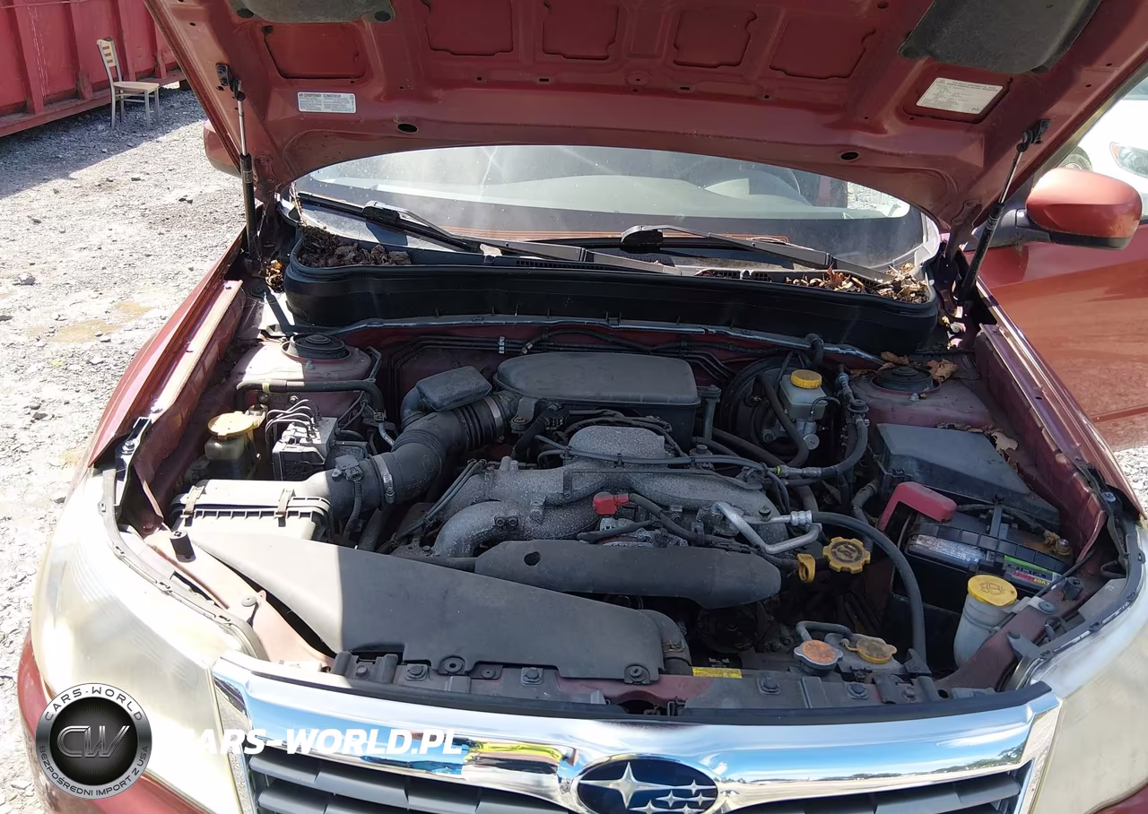 2010 Subaru Forester 2.5X Premium VIN:JF2SH6CC9AH799212 - 10