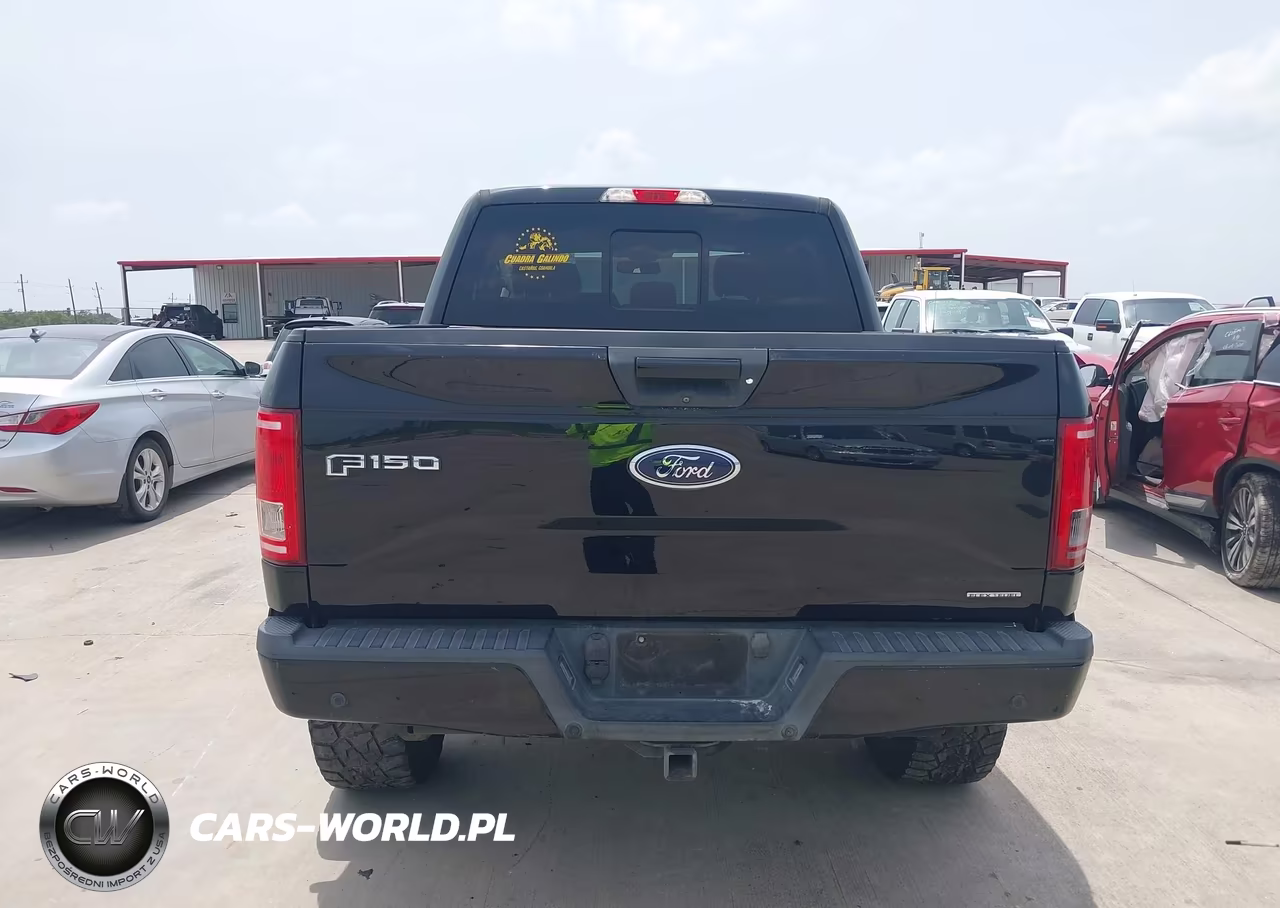 2016 Ford F-150 Xlt VIN:1FTEW1EF1GFA32437 - 16