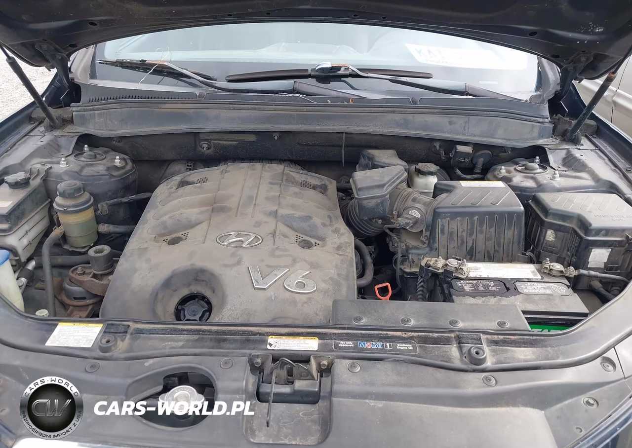 2008 Hyundai Santa Fe Limited-Se VIN:5NMSH73E38H134952 - 10