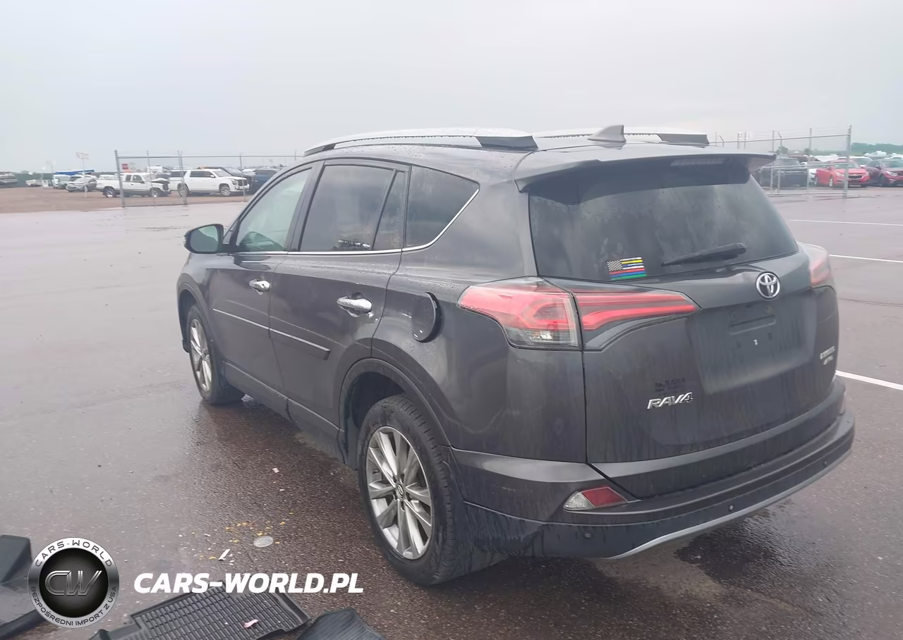2017 Toyota Rav4 Limited VIN:2T3DFREV9HW567484 - 3