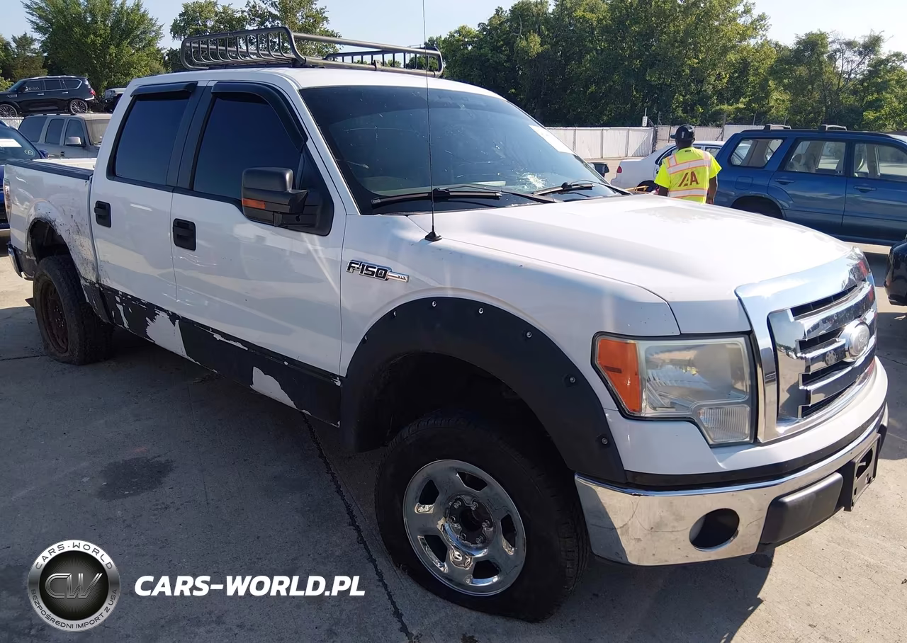 2009 Ford F-150 Xl-Xlt