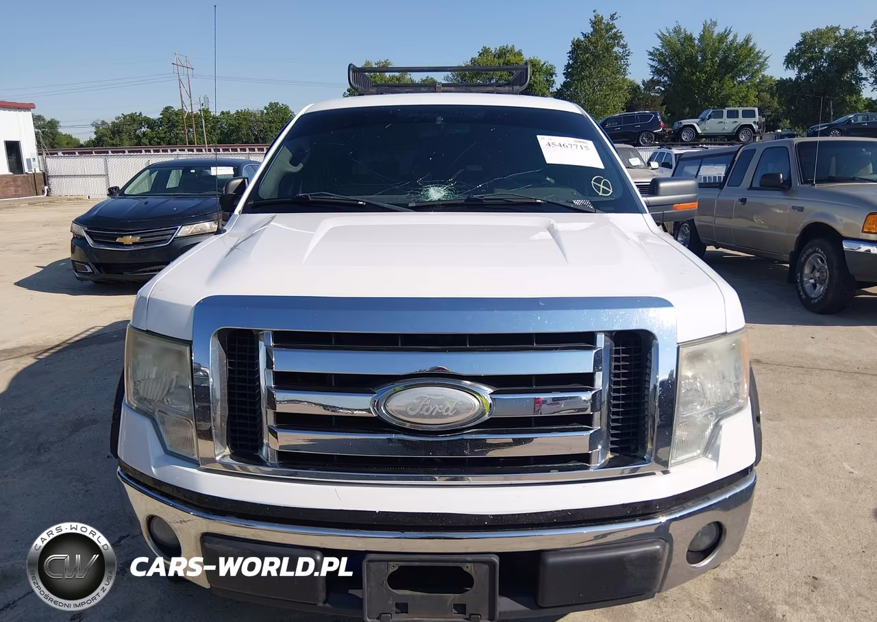 2009 Ford F-150 Xl-Xlt VIN:1FTRW12839FA75896 - 12