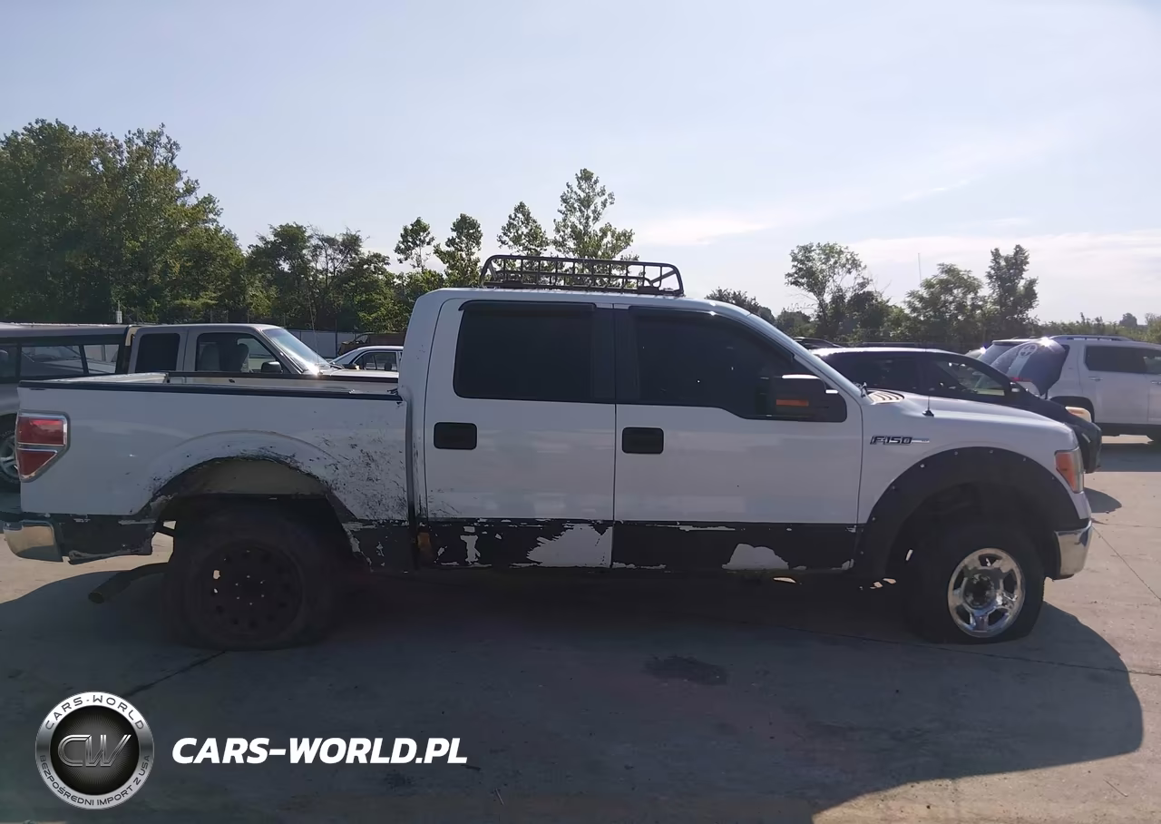 2009 Ford F-150 Xl-Xlt VIN:1FTRW12839FA75896 - 13