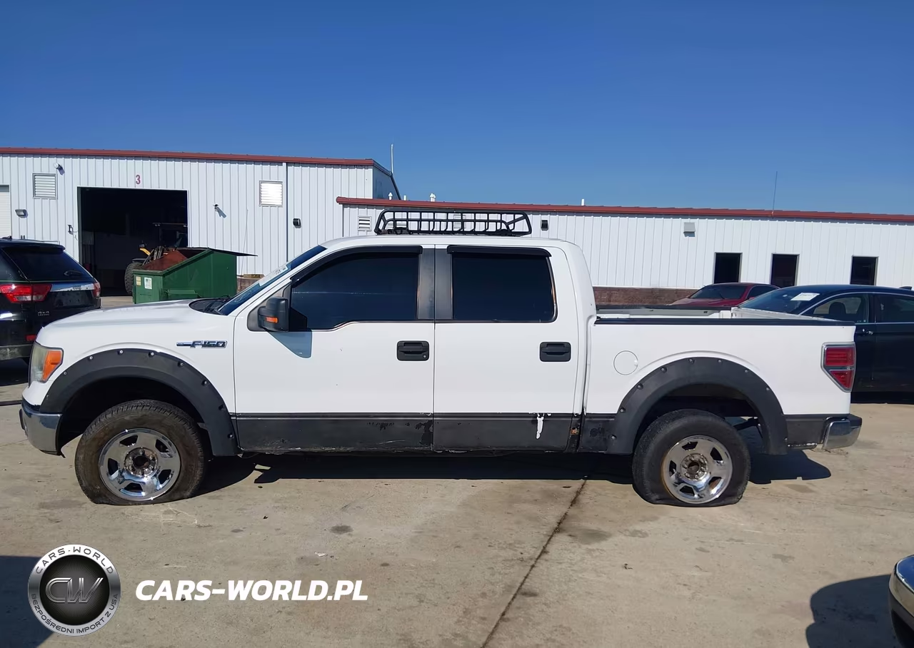 2009 Ford F-150 Xl-Xlt VIN:1FTRW12839FA75896 - 14
