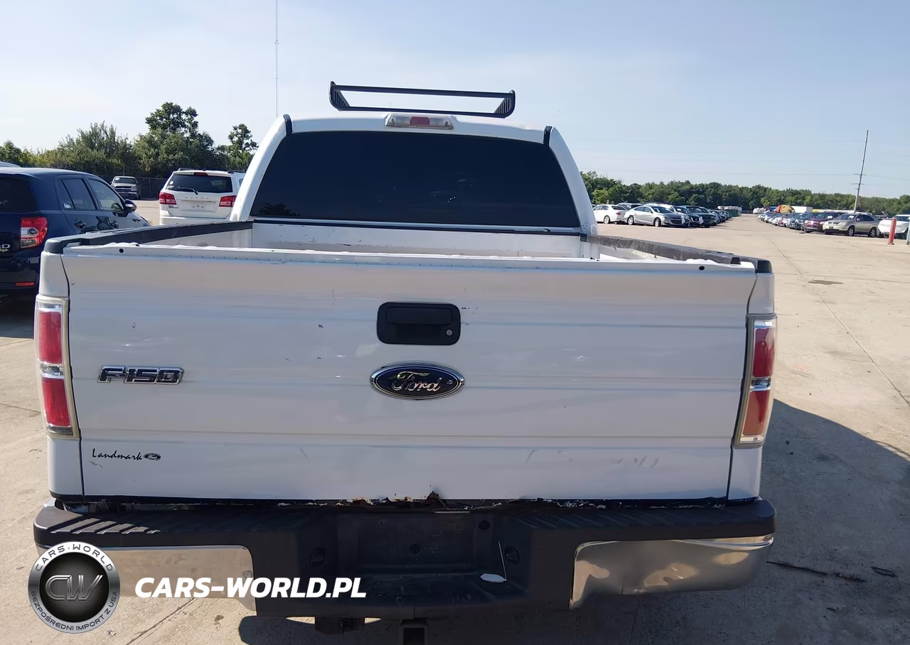 2009 Ford F-150 Xl-Xlt VIN:1FTRW12839FA75896 - 17