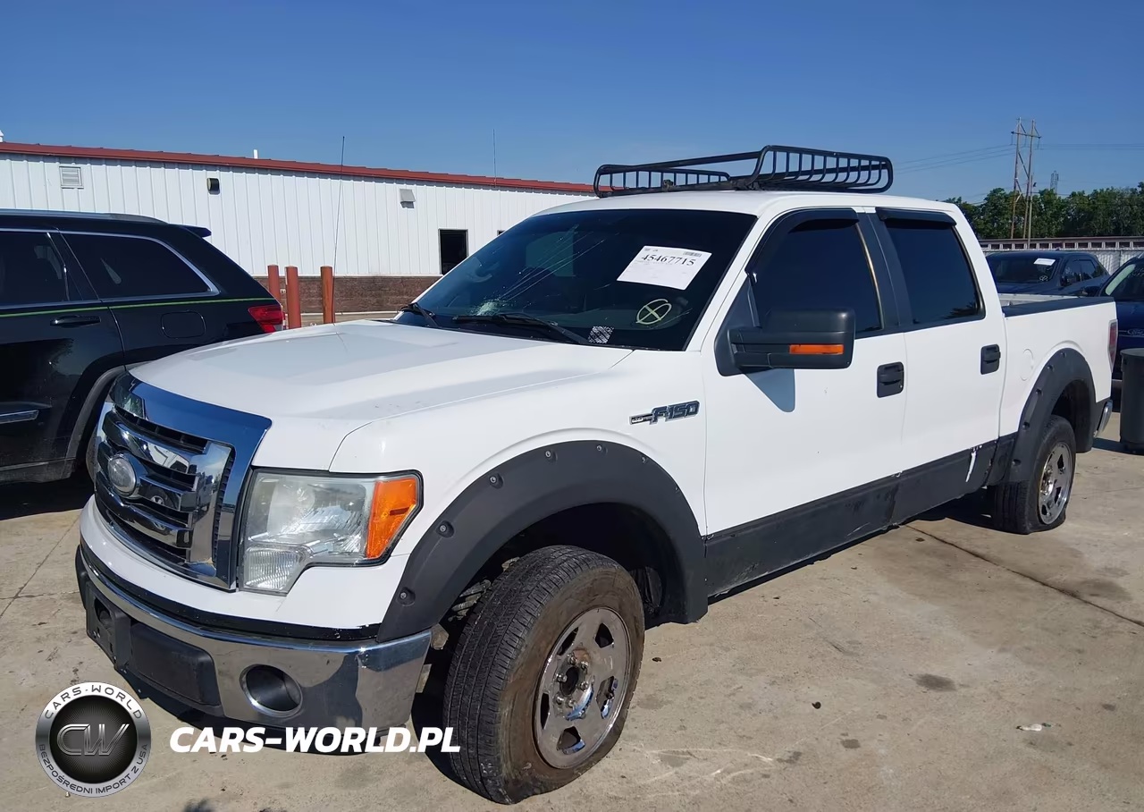 2009 Ford F-150 Xl-Xlt VIN:1FTRW12839FA75896 - 2