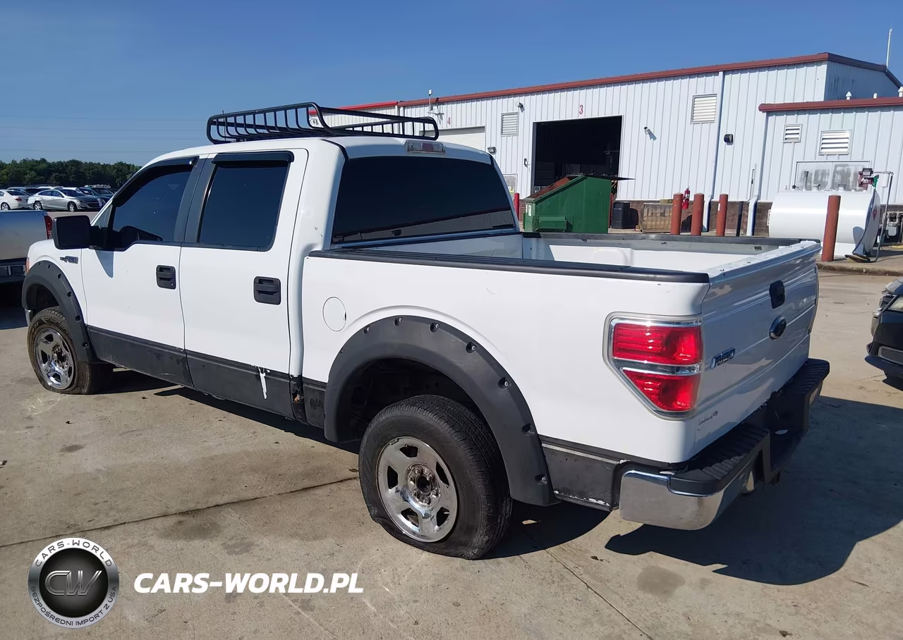2009 Ford F-150 Xl-Xlt VIN:1FTRW12839FA75896 - 3