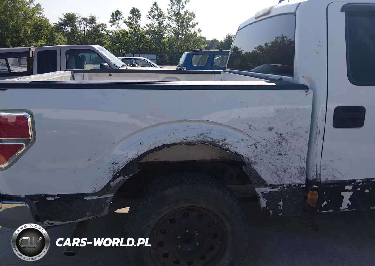 2009 Ford F-150 Xl-Xlt VIN:1FTRW12839FA75896 - 6