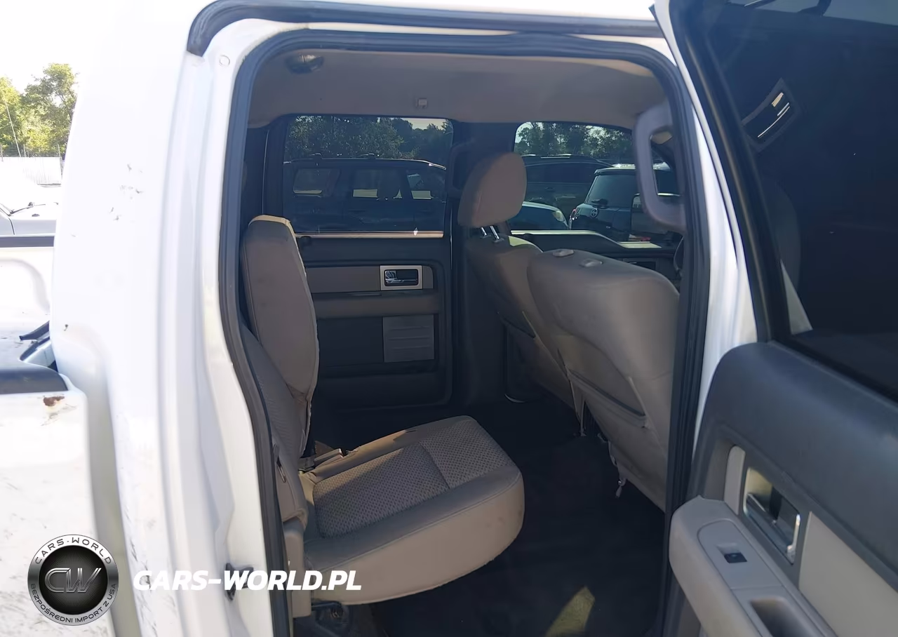 2009 Ford F-150 Xl-Xlt VIN:1FTRW12839FA75896 - 8