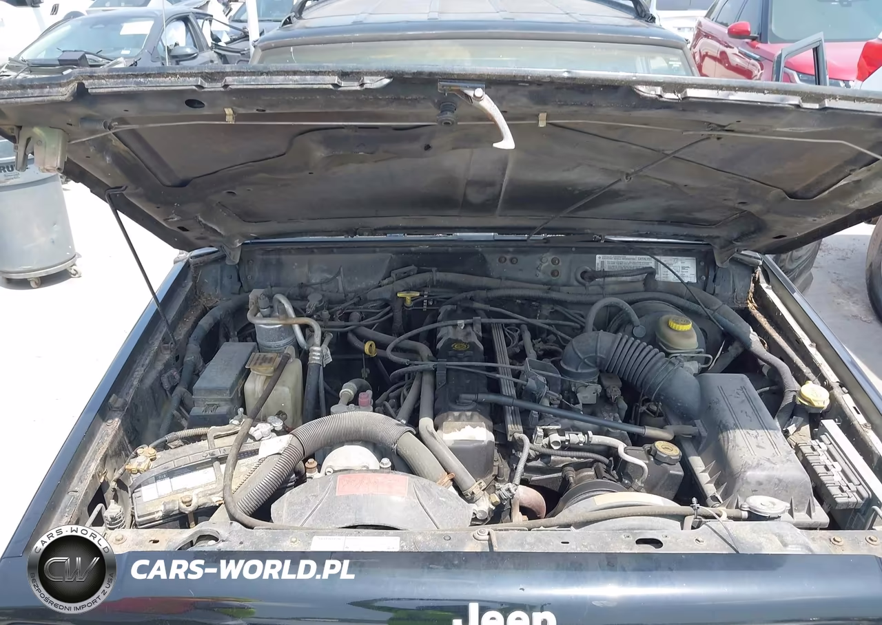 1998 Jeep Cherokee Classic-Sport VIN:1J4FT68S6WL209058 - 10