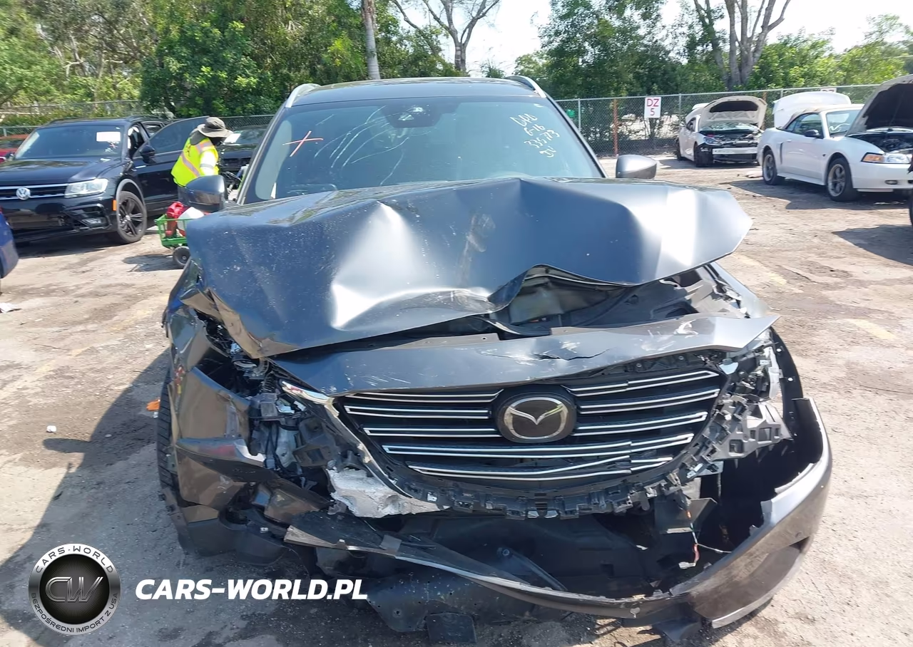 2019 Mazda Cx-9 Grand Touring VIN:JM3TCADY1K0335773 - 12
