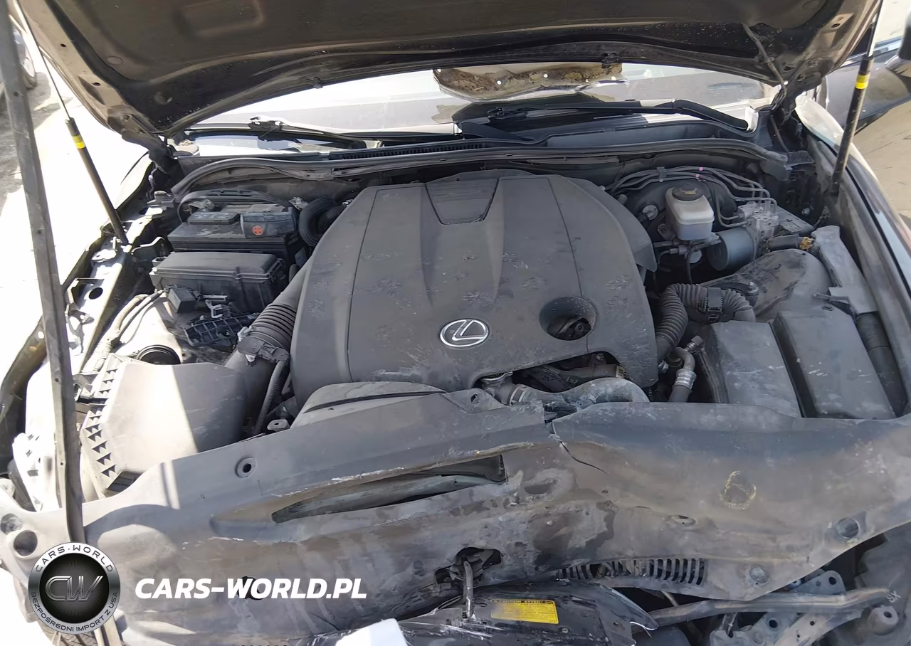 2014 Lexus Is 250 VIN:JTHBF1D22E5016766 - 10