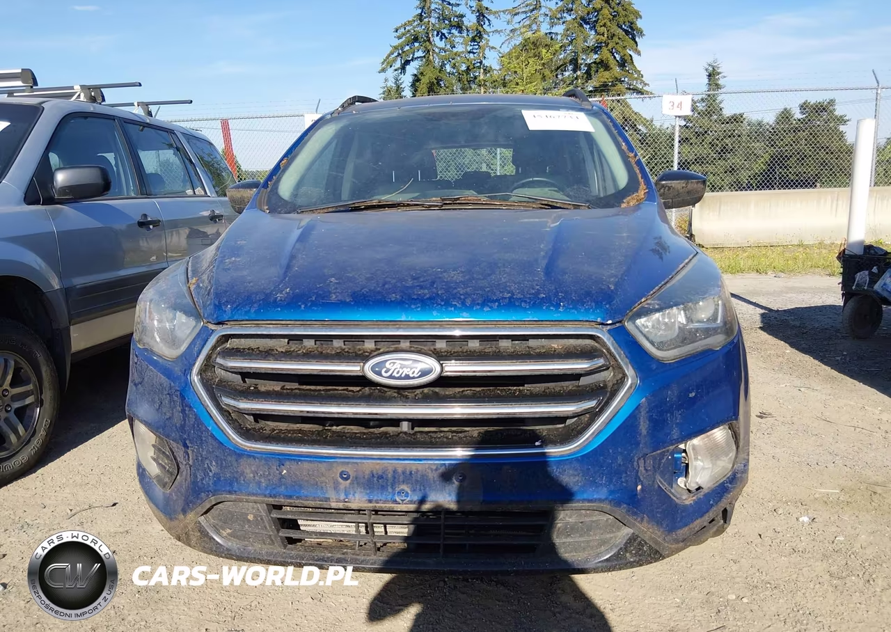 2017 Ford Escape Se VIN:1FMCU9G95HUD11420 - 12